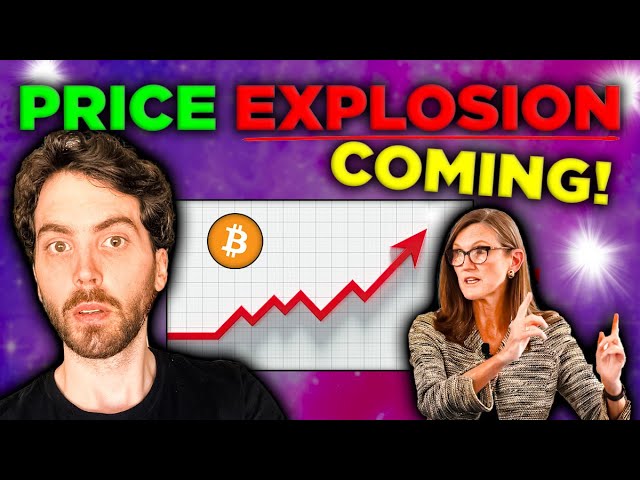 Bitcoin + AI = PRICE EXPLOSION! 2024 is VERY BULLISH! (Here is why)